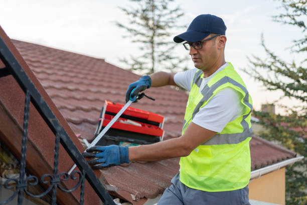 Best Basement Insulation  in Lenwood, CA